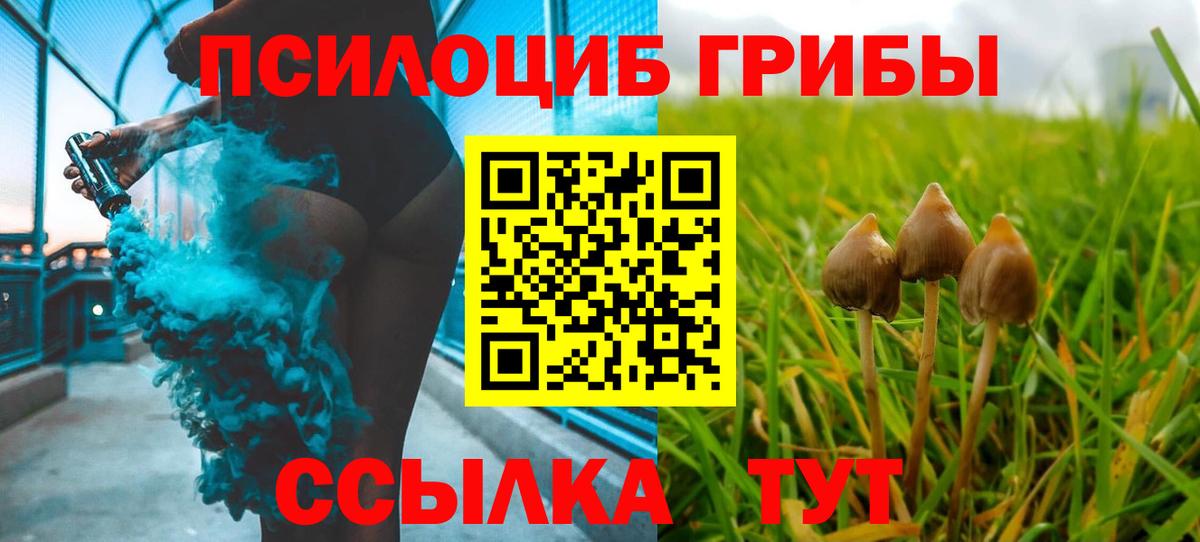 Тейково  Псилоцибиновые грибы мухоморы  Вход с VPN  Галлюциногенные грибы Magic Shrooms 